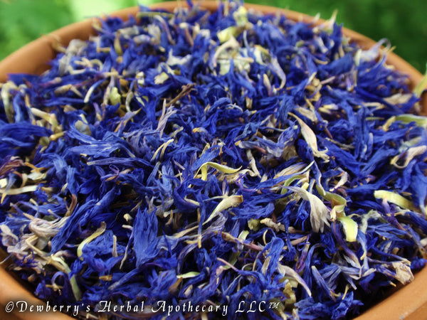 Herbs, Flowers, Botanica, Spices, Culinary Seasonings, Teas &amp; Coffee