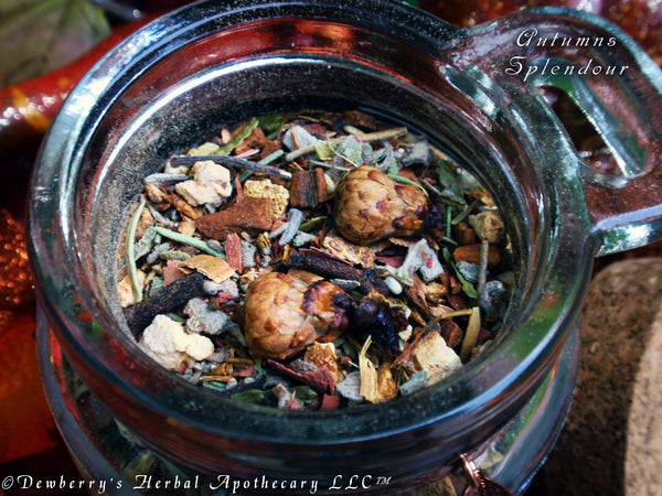 AUTUMNS SPLENDOUR Casting Herbs Witch Mix Blend w/ Hand Harvested Acorns, 8.5oz Jar & Wooden Spoon