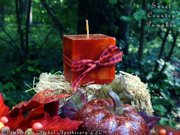 SWEET COUNTRY PUMPKIN Illuminary For Sabbat, Harvest, Circle Of Friends, Gatherings, Autumn Magick