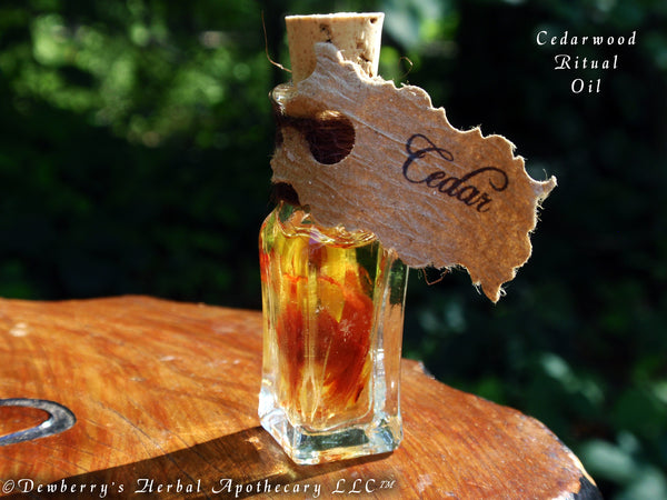 CEDARWOOD Ritual Potion Oil. For Rituals Of Purification, Good Fortune, Shielding