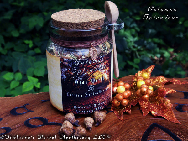 AUTUMNS SPLENDOUR Casting Herbs Witch Mix Blend w/ Hand Harvested Acorns, 8.5oz Jar & Wooden Spoon