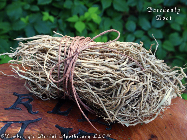 PATCHOULY (Pogostemon Cablin) Whole Root Bundle For Witchcraft, Rootwork, Divination, Graveyard Dirt