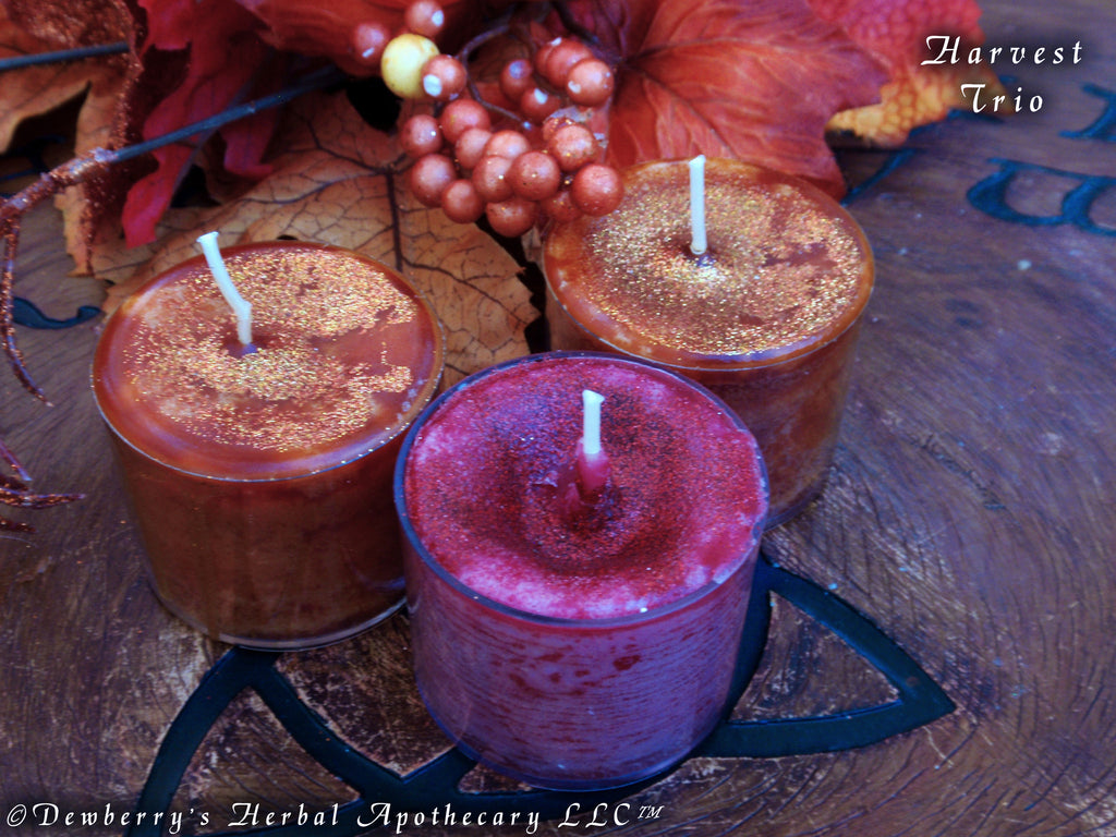HARVEST TRIO Apple & Buttered Pumpkin Candle Cups For Holiday, Relaxing Atmosphere, Kitchen Alquemie