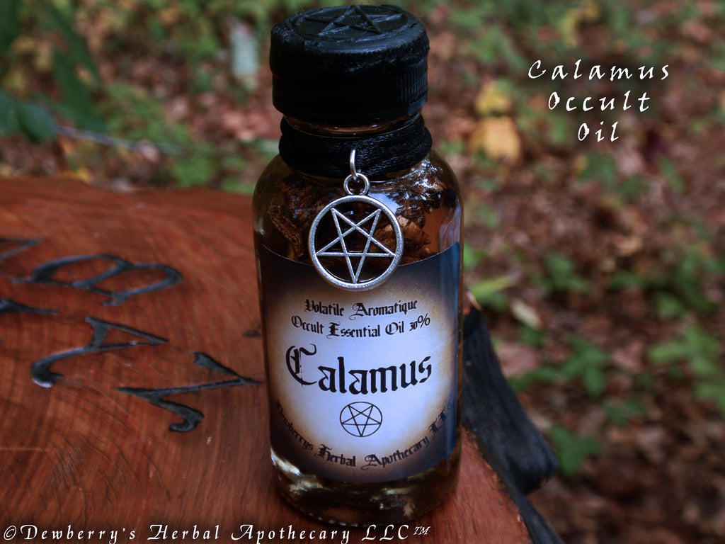 CALAMUS ROOT Occult Alquemie Essential Oil 30% For Occult, Abramelin, Grimoire Recipe, Angelic Glory