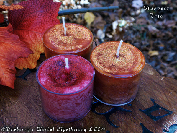 HARVEST TRIO Apple & Buttered Pumpkin Candle Cups For Holiday, Relaxing Atmosphere, Kitchen Alquemie