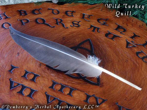 FEATHER QUILL Wild Turkey 12" Dip Pen For Calligraphy, Secret Writing, Magickal Seals, Talismans