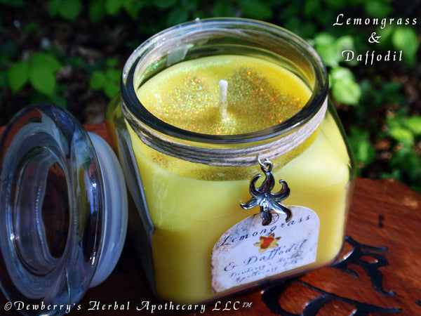 LEMONGRASS & DAFFODIL 10oz Jar Candle For Home Alquemie, Sacred Space, Springtime Summer Celebration