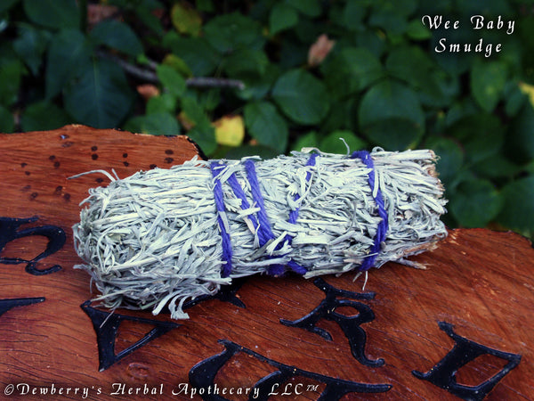WEE BABY SAGE Smudge Stick For Prophetic Visions, Space Clearing, Shaman Workings, Purification