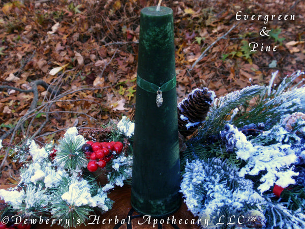 EVERGREEN & PINE Crystal Pillar Candle For Winter Magick, Holiday Celebrations, Circle Of Friends